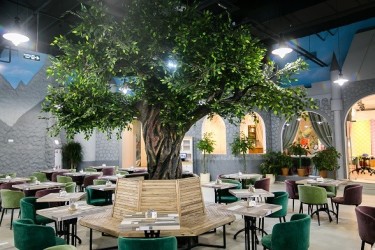 Файл:GastroNorma 4.jpg