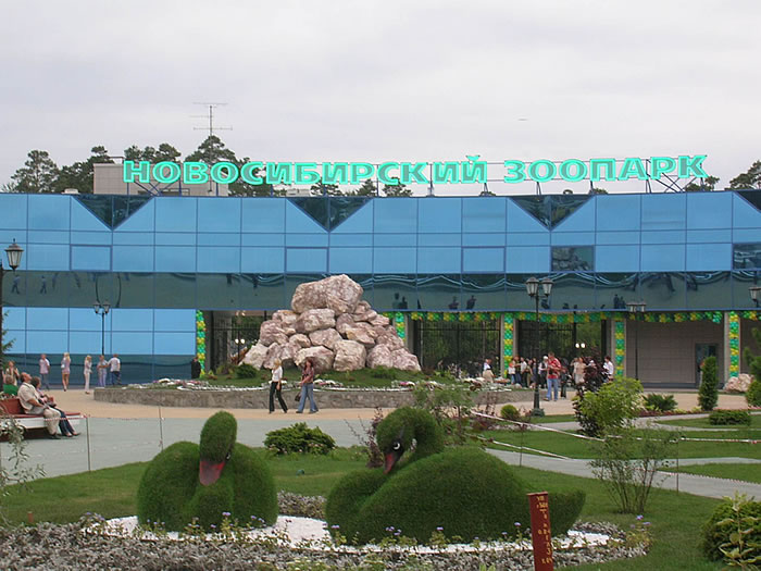 Файл:Новосибирский зоопарк 2 (Сибирский неон).jpg