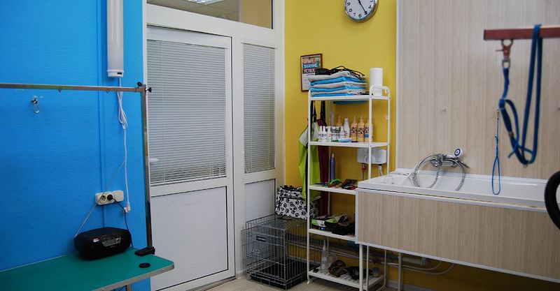 Файл:Groom 11.jpg