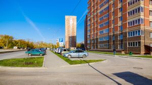 Черёмушки (2 2).jpg