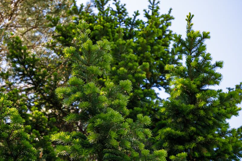 Файл:Береговая 21 (Юный Ленинец) 5.jpg