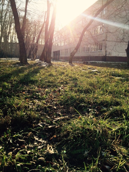 Файл:Школа №64.jpg