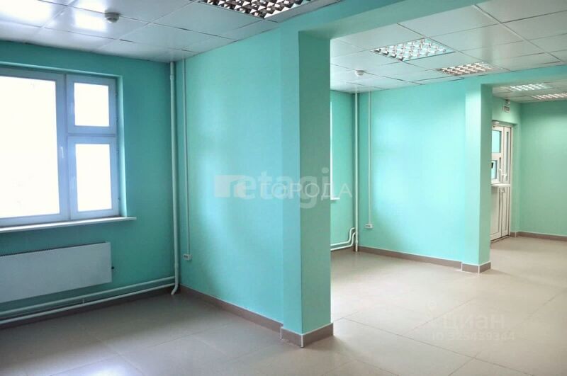 Файл:116477575 4.jpg