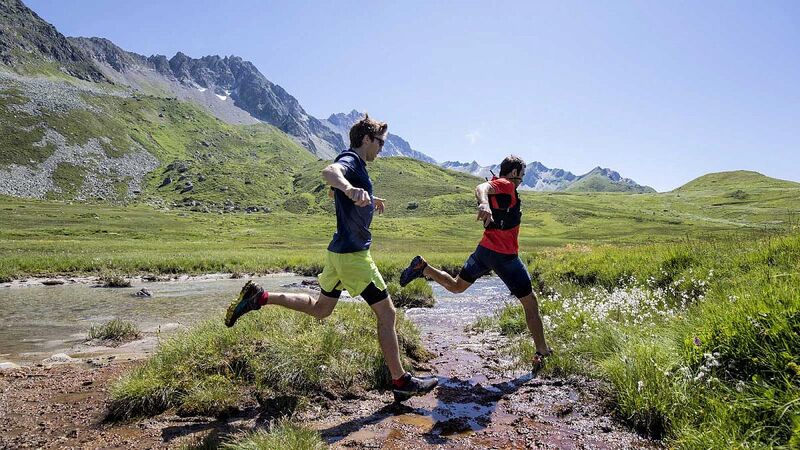 Файл:МЕГА Salomon.jpg