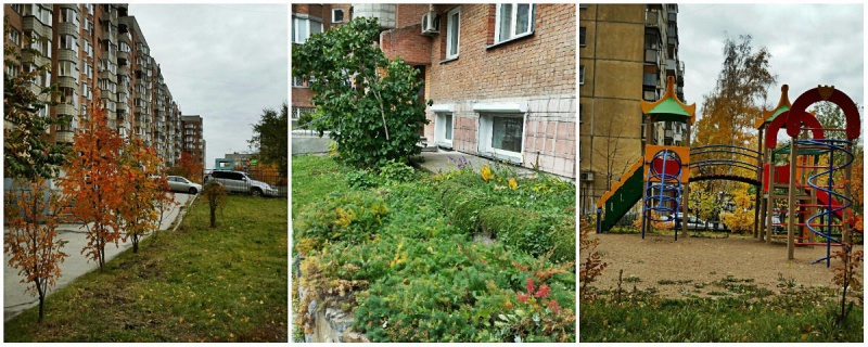 Файл:Красный проспект 99.jpg