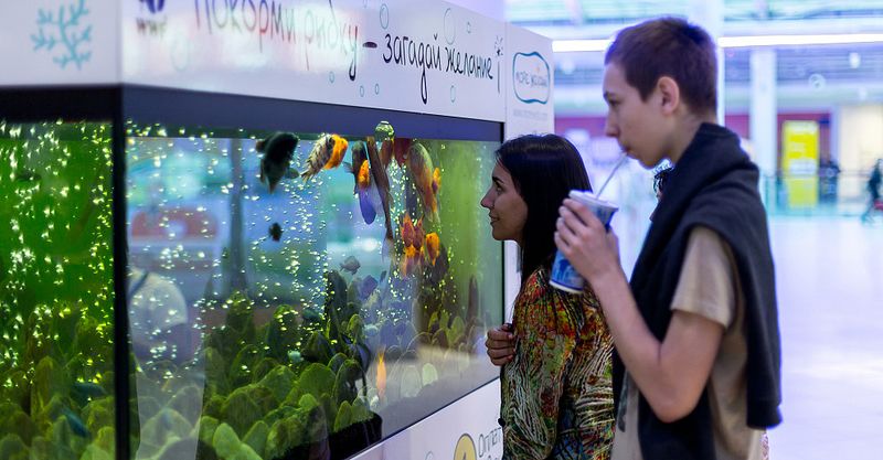 Файл:Море Желаний 5.jpg