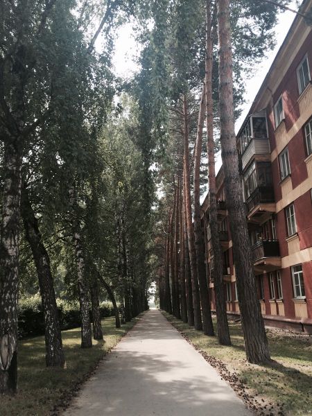 Файл:Морской проспект.jpg