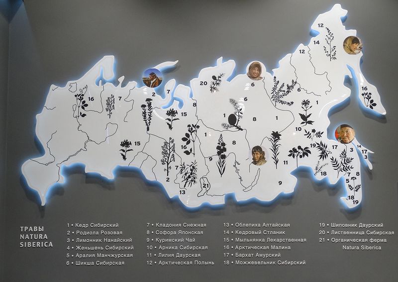 Файл:Natura Siberica 2 (Сибирский неон).jpg