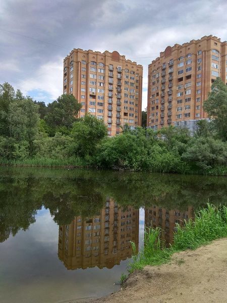 Файл:Лесосечная 16.jpg