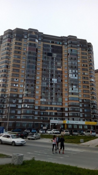 Файл:Гребенщикова 1.jpg