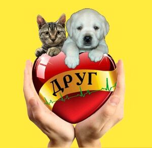 Ветеринарная клиника Друг.jpg