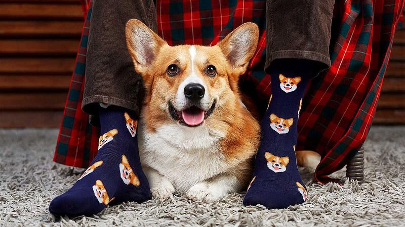 Файл:МЕГА FunnySocks.jpg