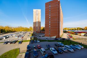 Черёмушки (2 1).jpg