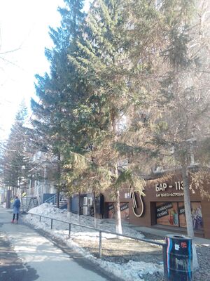 Романова 28 (2).jpg