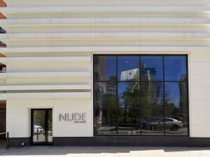 NUDE 2 (Сибирский неон).jpg