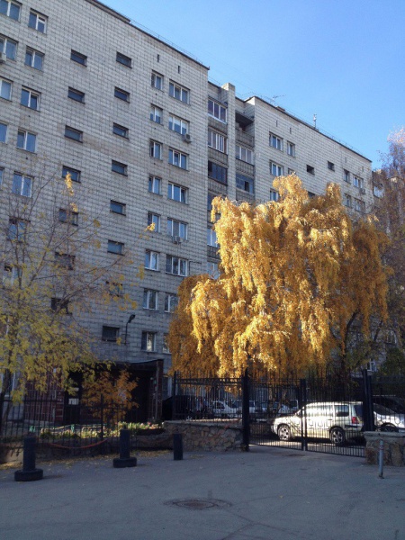 Файл:Дмитрия Шамшурина 12.jpg