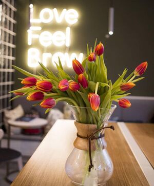 Shurubor coffeeshop (3) (Сибирский неон).jpg