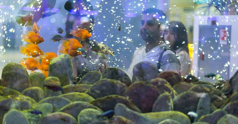 Файл:Море Желаний 7.jpg