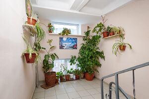 Ивлева 164 (5).jpg