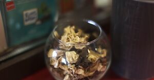 Бодрый День 37.jpg