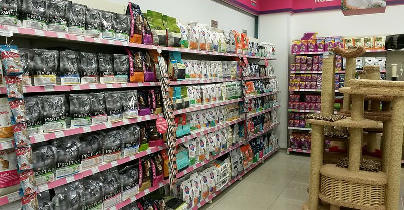 Файл:Бетховен 2.jpg