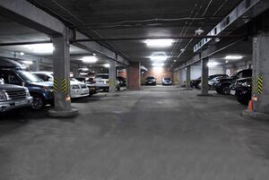 Семьи Шамшиных 61-1 (2).jpg