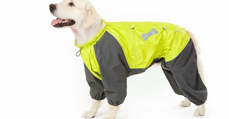 Файл:Groom 5.jpg