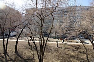 Новосибирская 20 (5).jpg