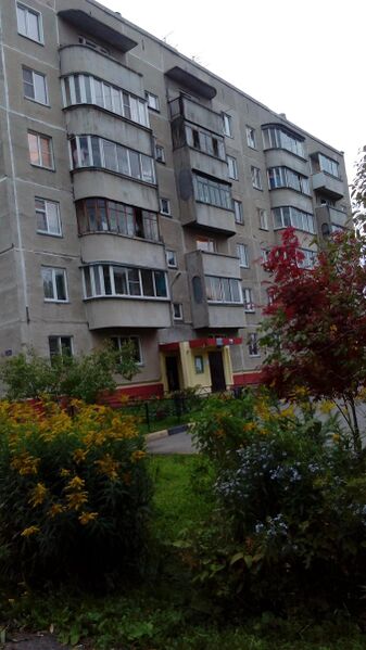 Файл:Палласа 23.jpg