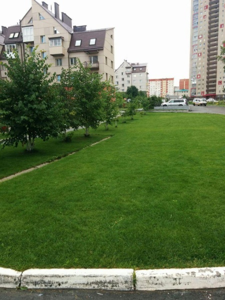 Файл:Зелёный Бор микрорайон 9.jpg