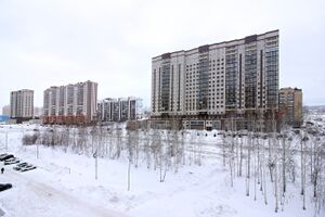 Красный проспект 311.jpg