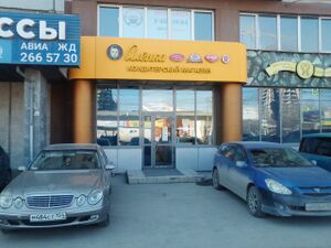 Никитина 20 Алёнка.jpg