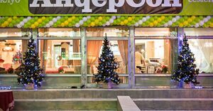 АндерСон 7.jpg