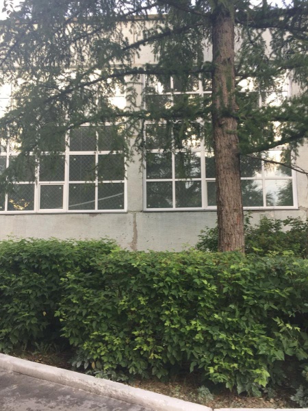 Файл:Школа №2.jpg