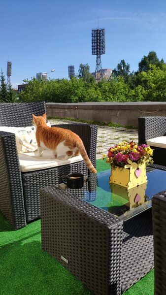 Файл:72120370 1.jpg