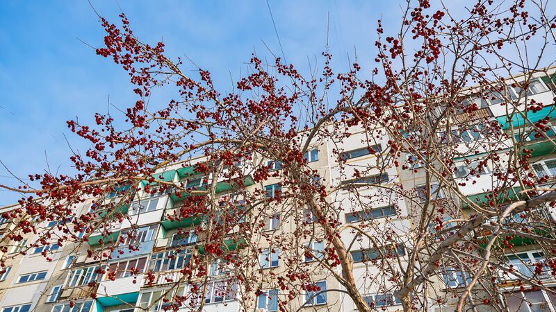 Файл:Троллейная 22.jpg