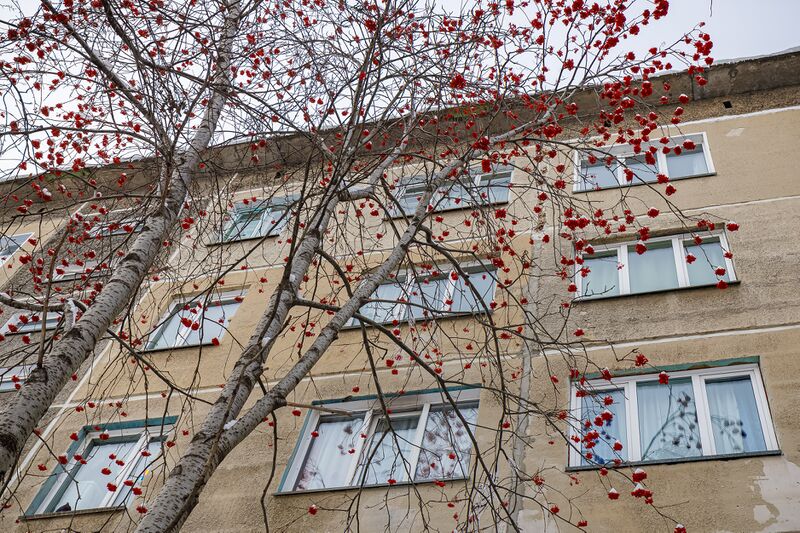 Файл:Оловозаводская 39.jpg