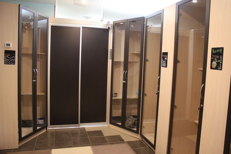 Файл:Мяус 2.jpg