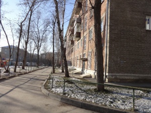 Новогодняя 4.jpg