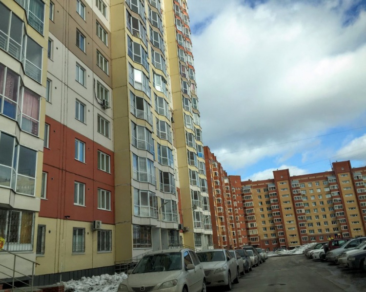 Файл:Тюленина 24.jpg