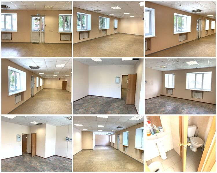 Файл:33119732 1.jpg