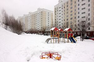 Татьяны Снежиной 51 (2).jpg