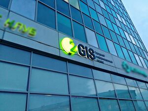 2ГИС 2 (Сибирский неон).jpg