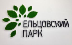 Ельцовский парк (Сибирский неон).jpg