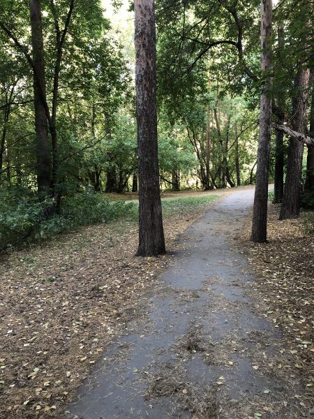 Файл:Эдемский сад.jpg