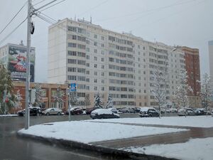 Гребенщикова 14 (2).jpg