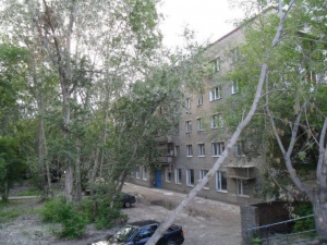 Кошурникова 31.jpg