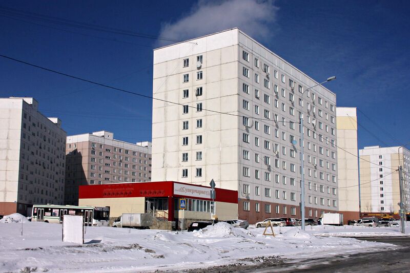 Файл:Татьяны Снежиной 43.jpg