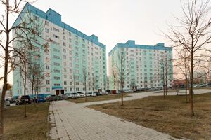 Татьяны Снежиной 41-1 (1).jpg