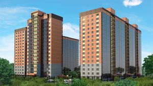 Стрижи на Родниках.jpg